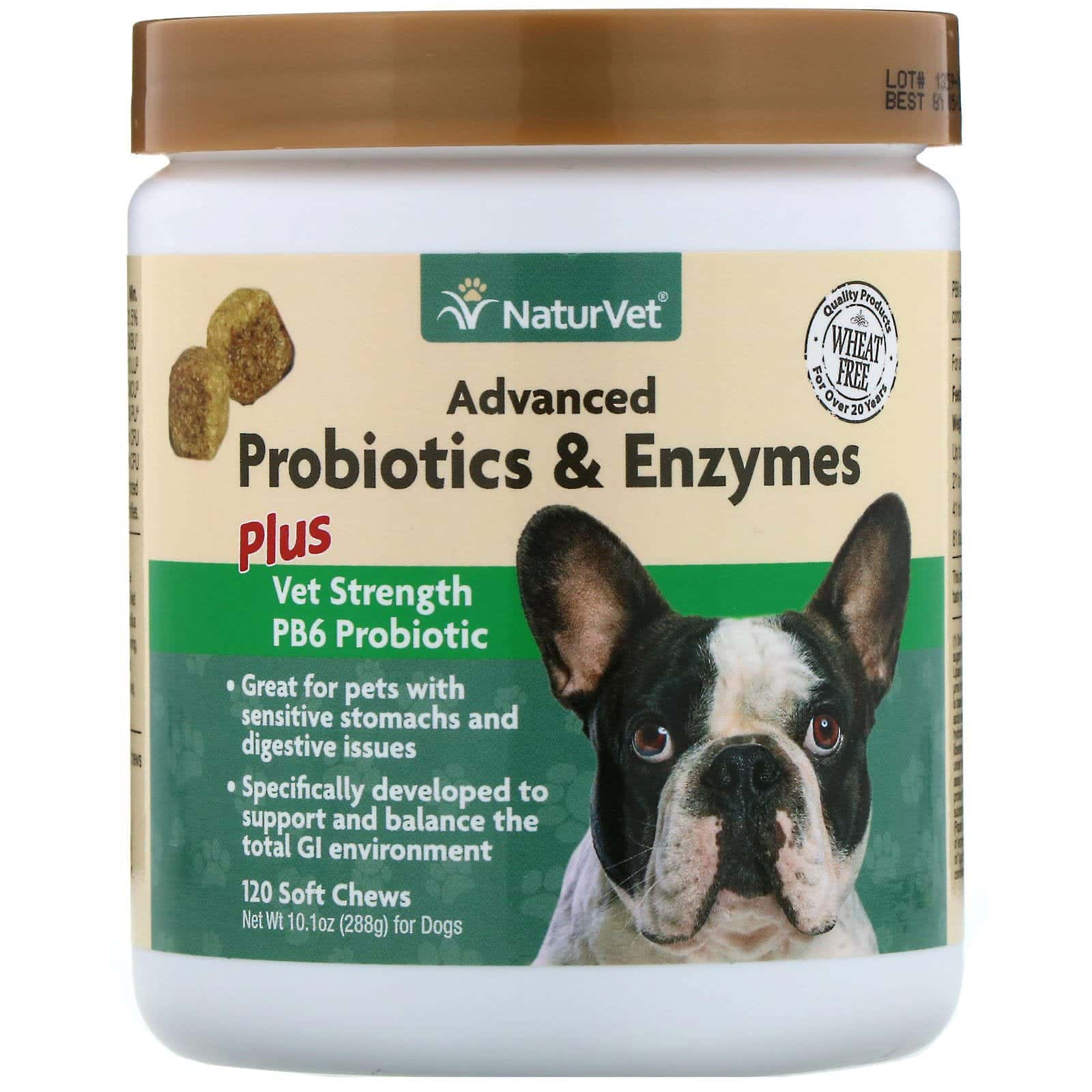NaturVet, Advanced Probiotics and Enzymes, Plus Vet Strength PB6, Probióticos para perros, 120 masticables