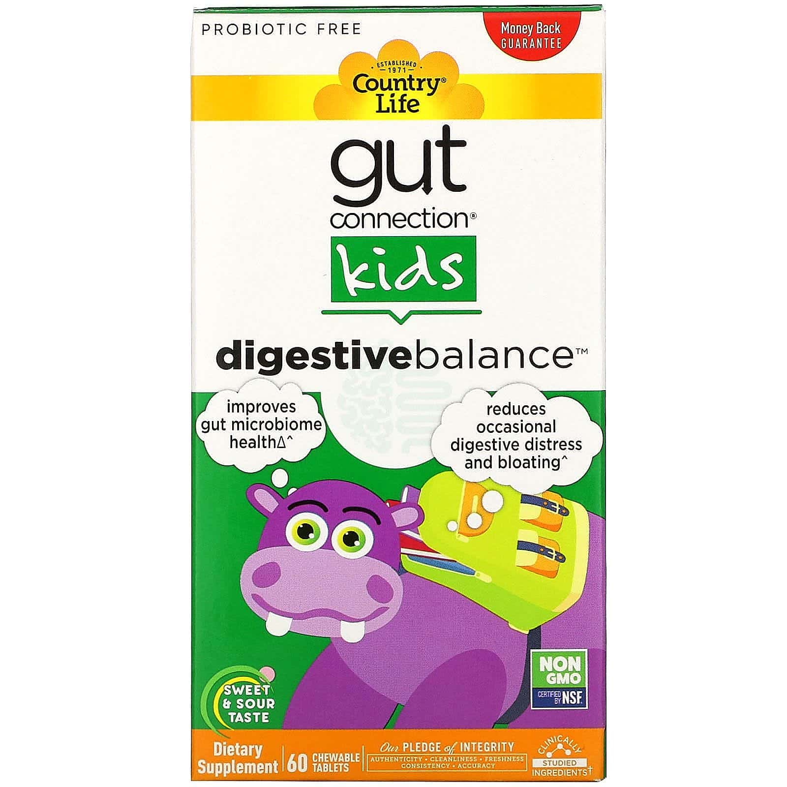 Country Life, Gut Connection para niños, Digestive Balance, Sabor agridulce, 60 comprimidos masticables