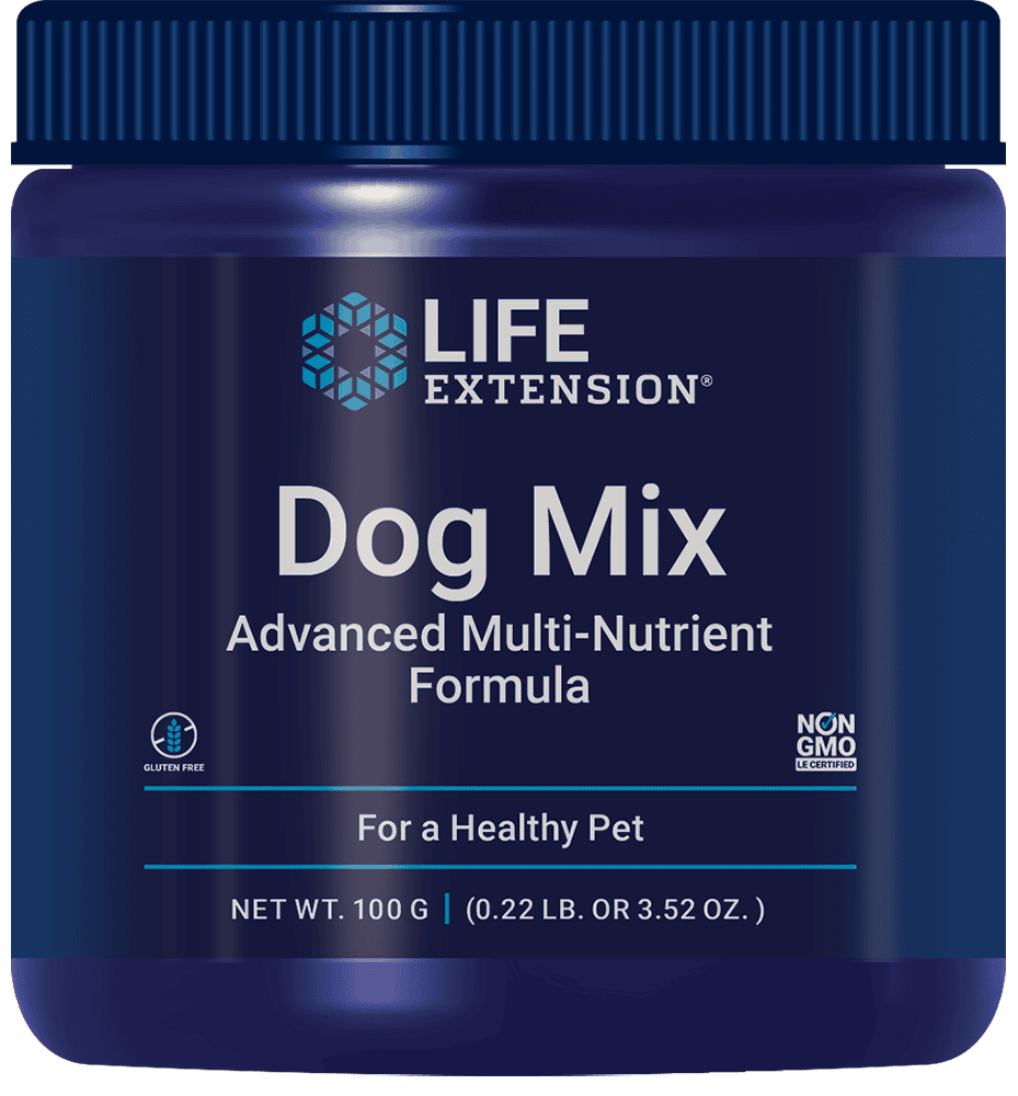 Dog Mix