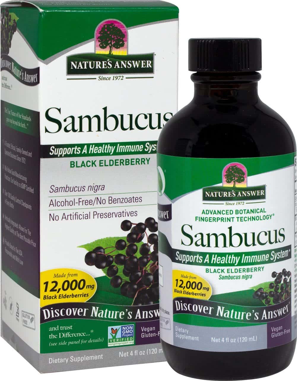 Extracto de saúco negro de Sambucus