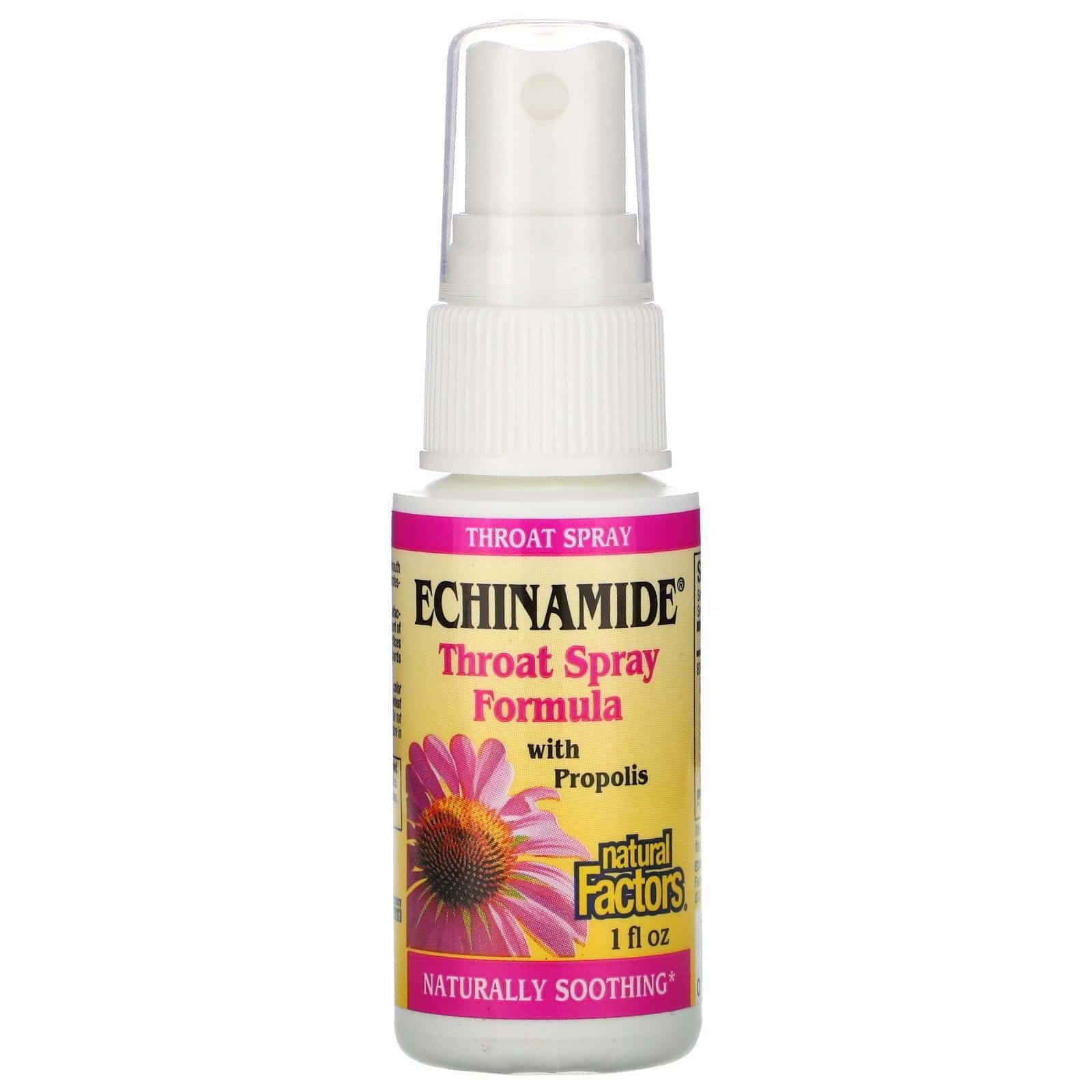 Natural Factors, Echinamide, formula en aerosol para la garganta, con propóleos, 1 fl oz