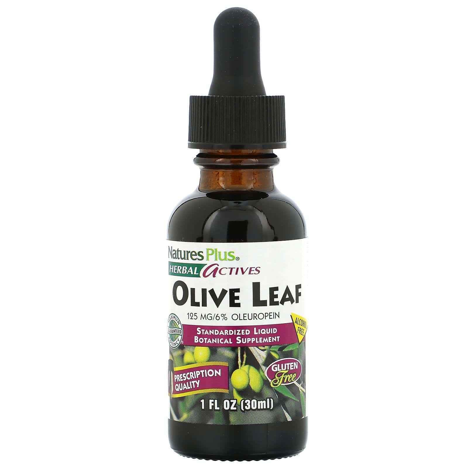 Nature's Plus, Activos herbarios, Hoja de olivo, Sin alcohol, 30 ml (1 oz. líq.)