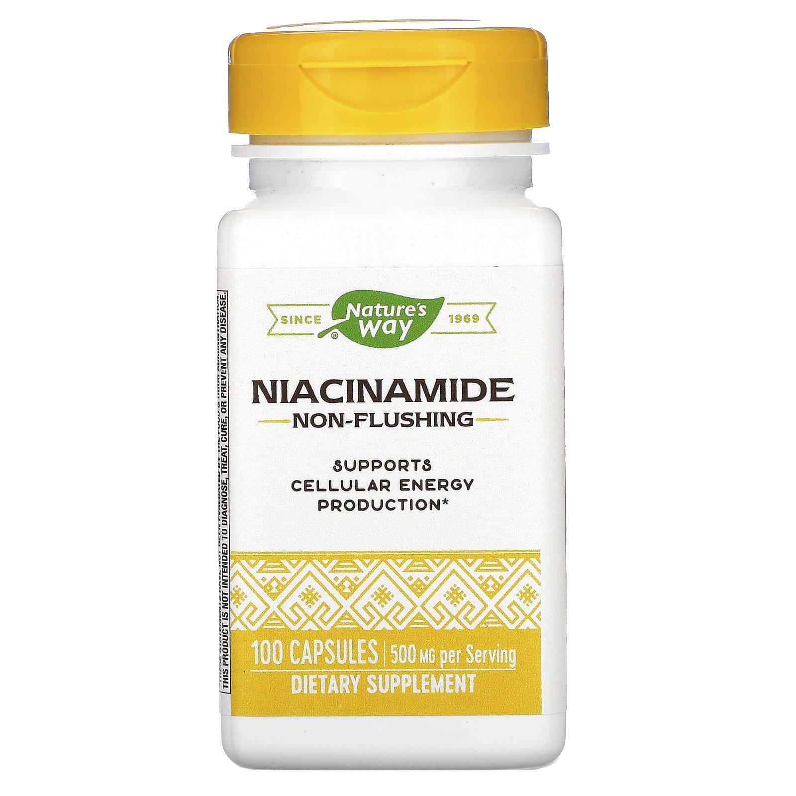 Nature's Way, Niacinamide, 500 mg, 100 Capsules
