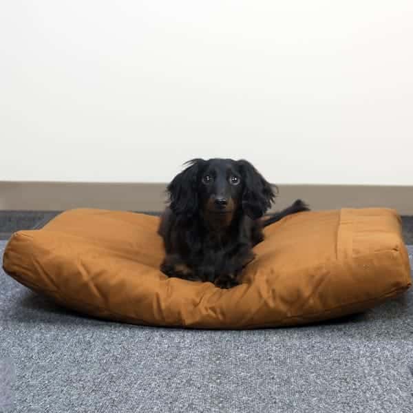 Cama Premium para Mascotas (Mediana)