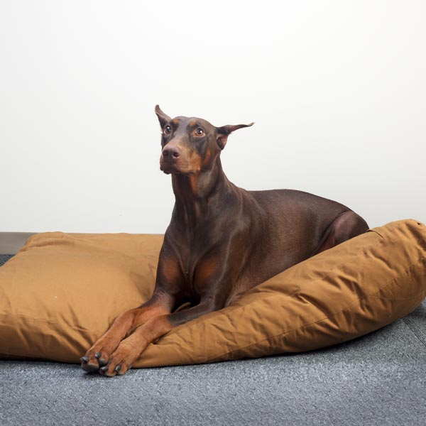 Cama Premium para Mascotas (Extra Grande)