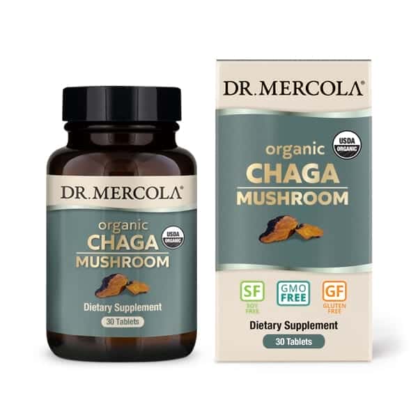 Hongo Chaga Orgánico
