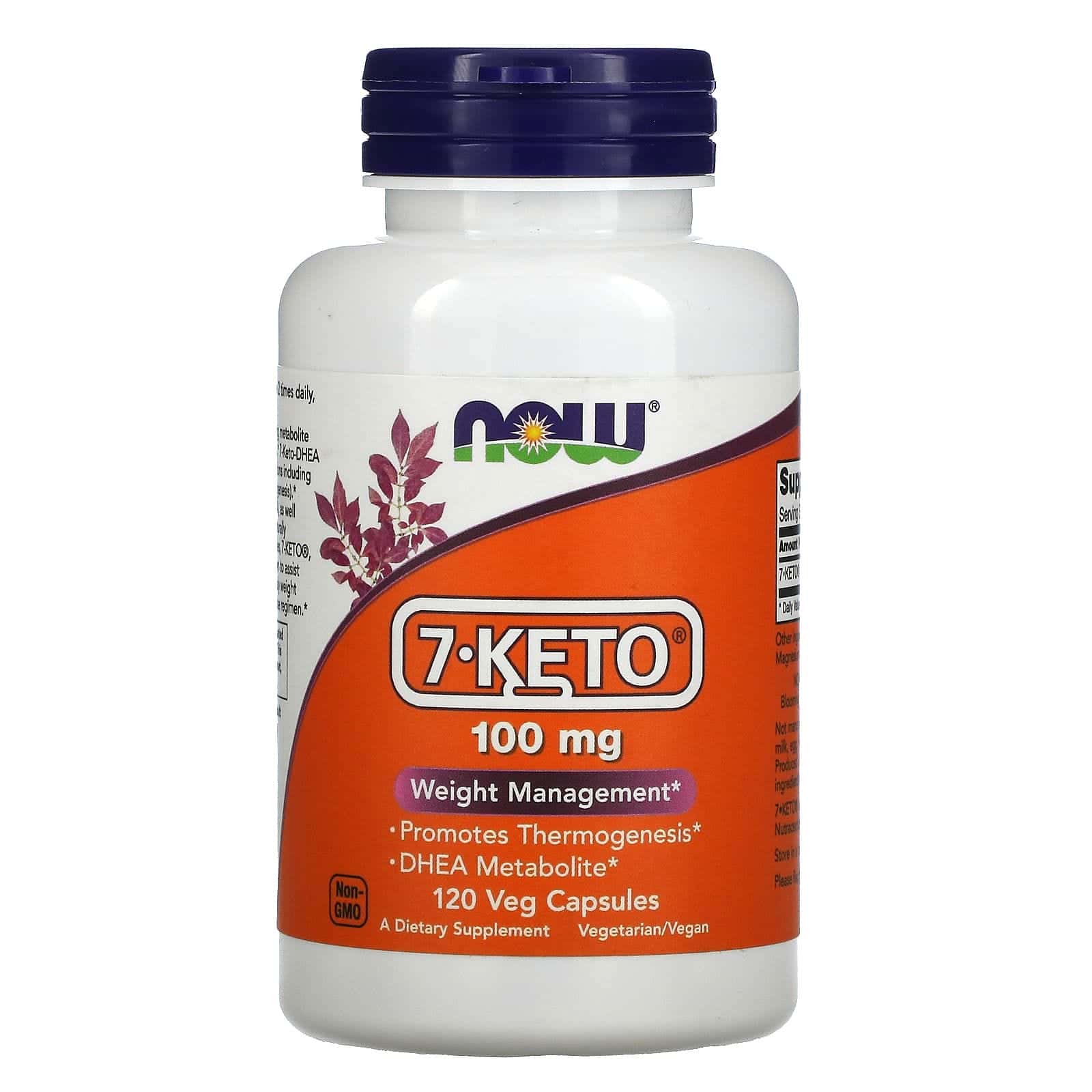 NOW Foods, 7-KETO, 100 mg, 120 cápsulas vegetales