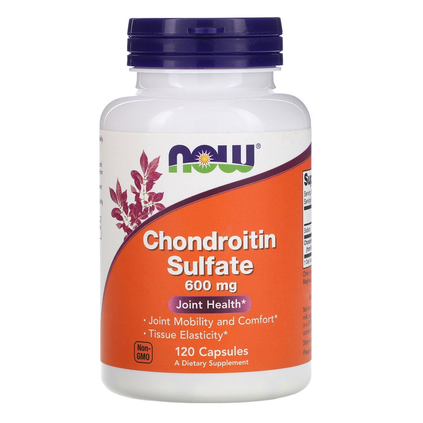 Now Foods, Sulfato de condroitina, 600 mg, 120 cápsulas