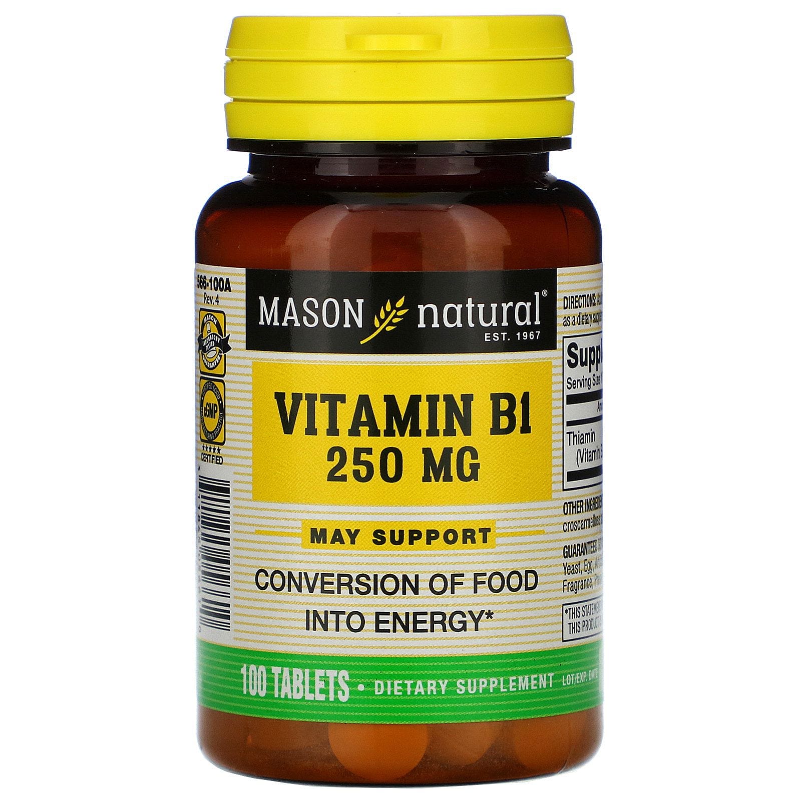 Mason Natural, Vitamina B-1, 250 mg, 100 comprimidos