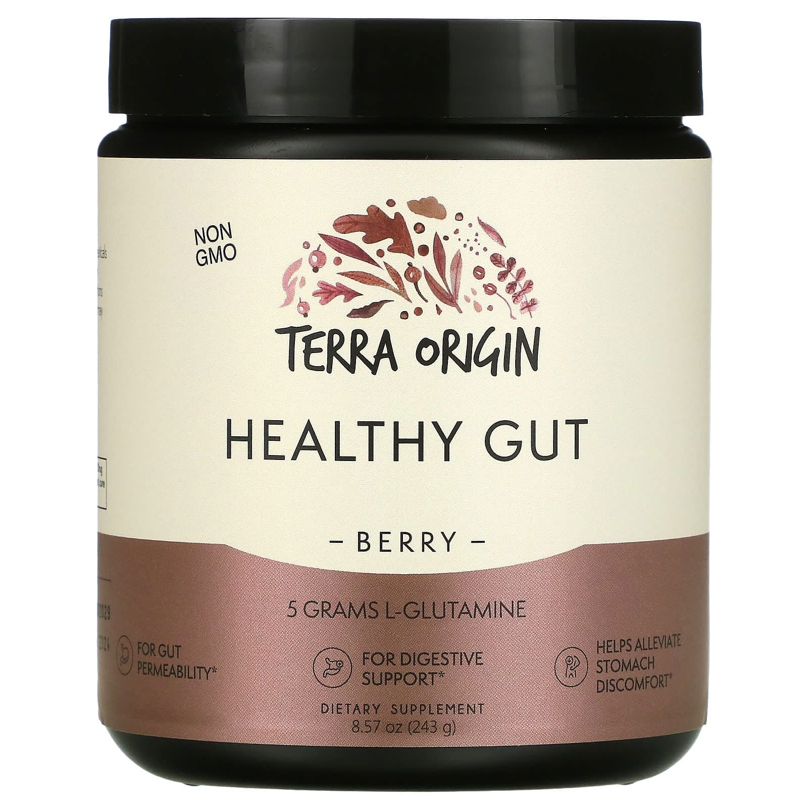 Terra Origin, Intestinos saludables, Bayas, 243 g (8,57 oz)
