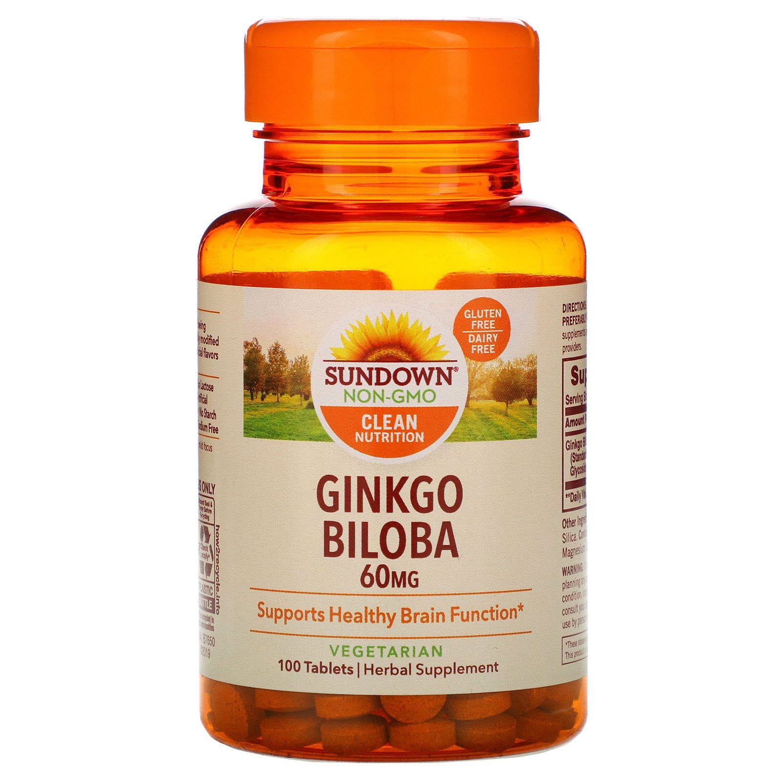 Sundown Naturals, Ginkgo biloba, 60 mg, 100 comprimidos