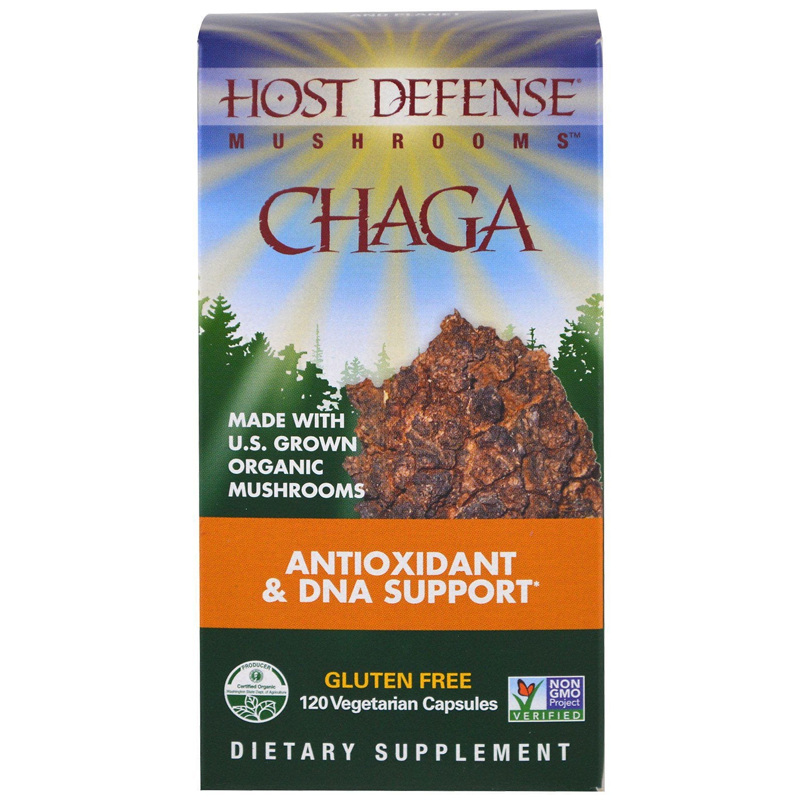 Fungi Perfecti, Chaga, 120 cápsulas vegetarianas