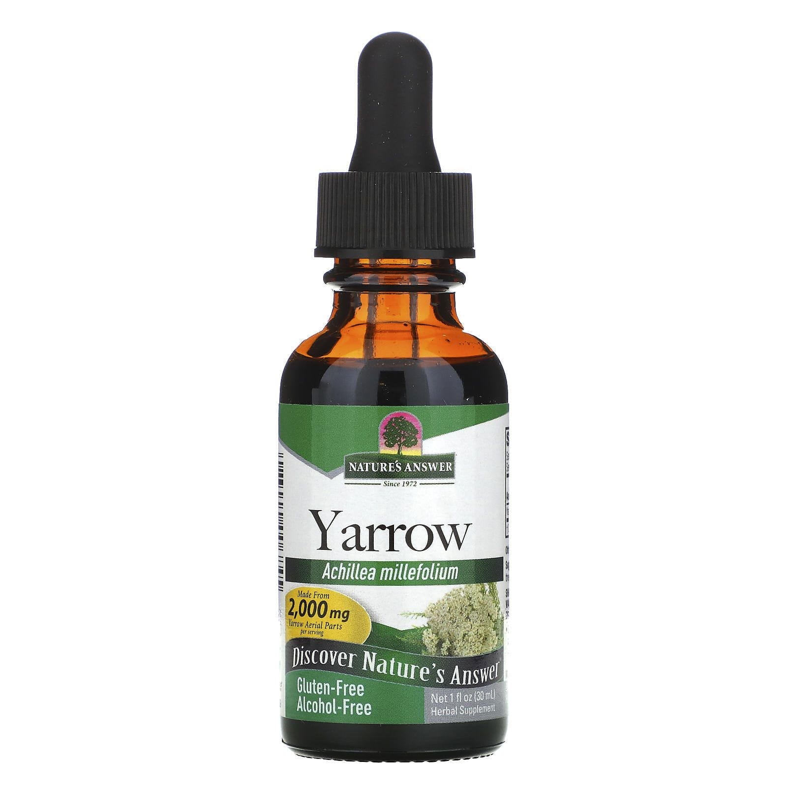 Nature's Answer, Milenrama blanca, sin alcohol, 2000 mg, 1 oz líquida (30 ml)