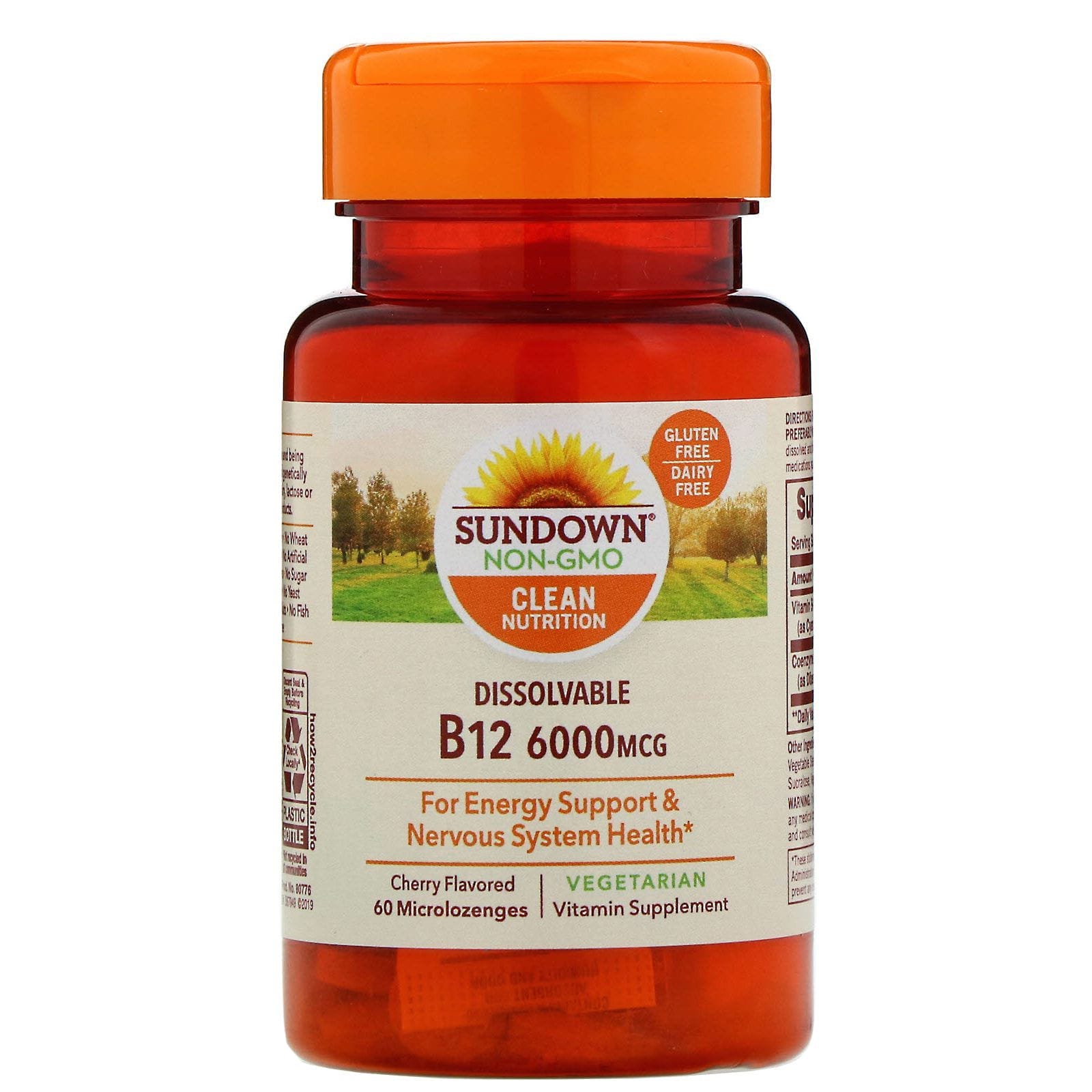 Sundown Naturals, B12 disoluble, sabor cereza, 6000 mcg, 60 micropastillas