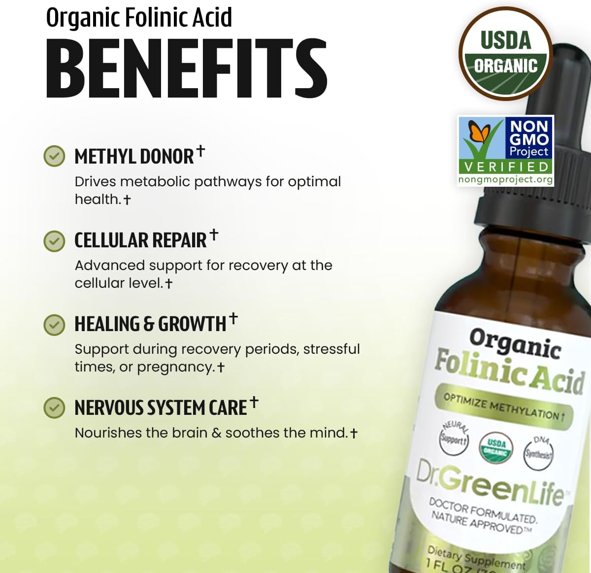 Dr. Green Mom USDA gotas de ácido folínico organico - 500 mcg - Imagen 5